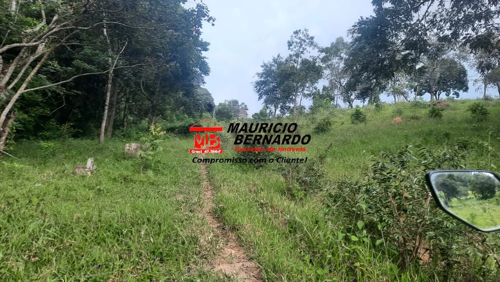 Terreno, 22 hectares - Foto 11