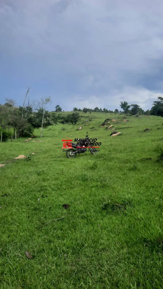 Terreno, 22 hectares - Foto 10