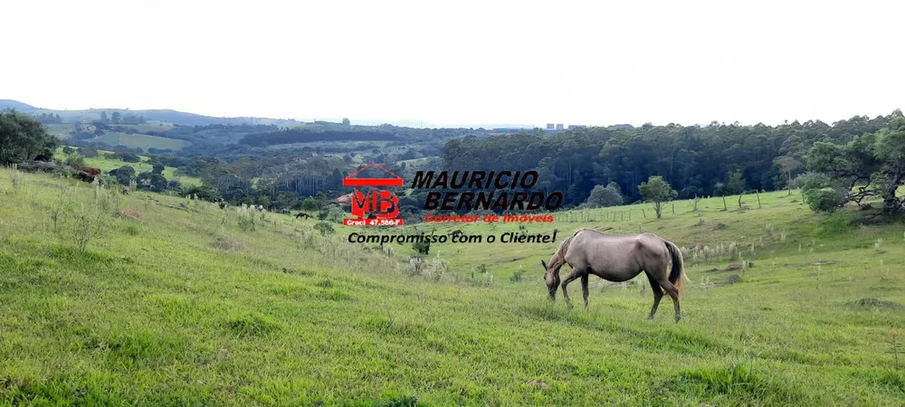 Terreno, 22 hectares - Foto 1