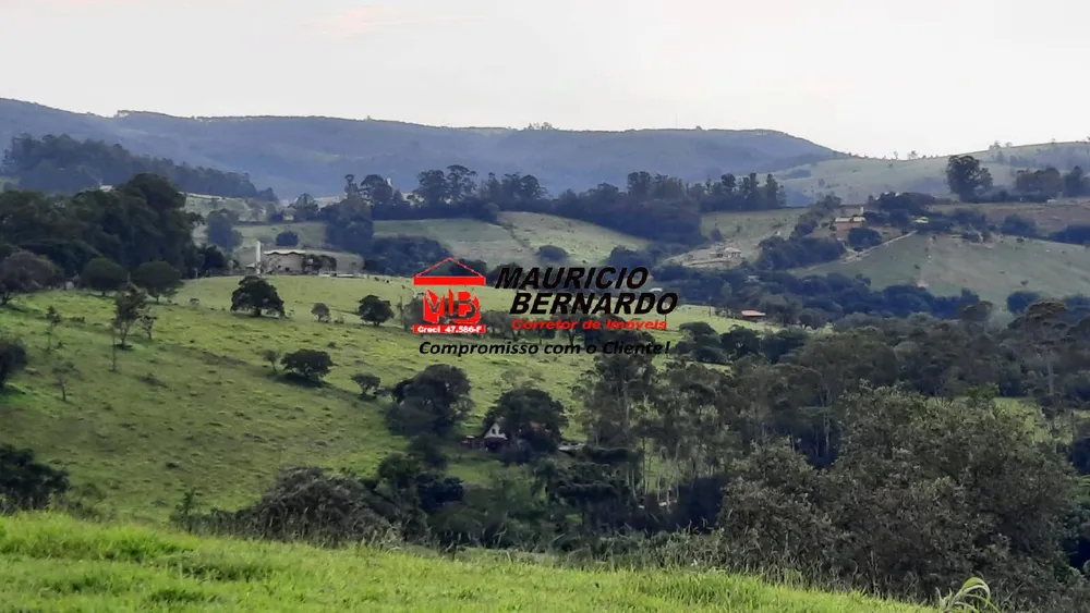 Terreno, 22 hectares - Foto 12