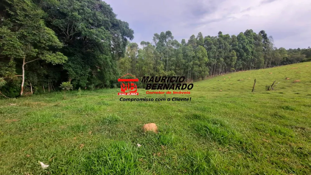 Terreno, 22 hectares - Foto 3