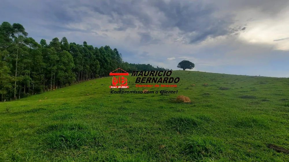Terreno, 22 hectares - Foto 7