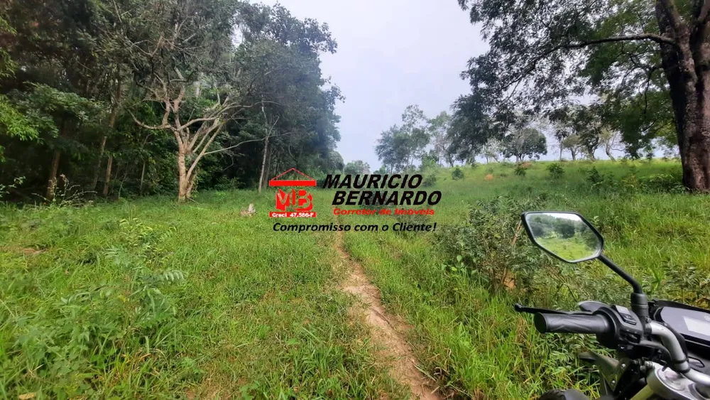 Terreno, 22 hectares - Foto 6