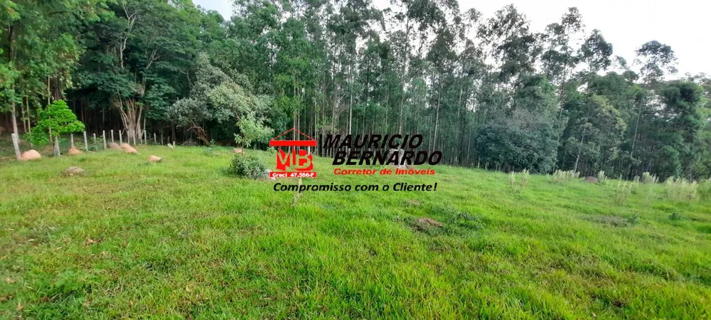 Terreno, 22 hectares - Foto 4