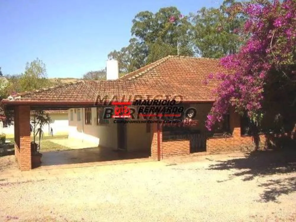 Sítio, 3 hectares - Foto 4