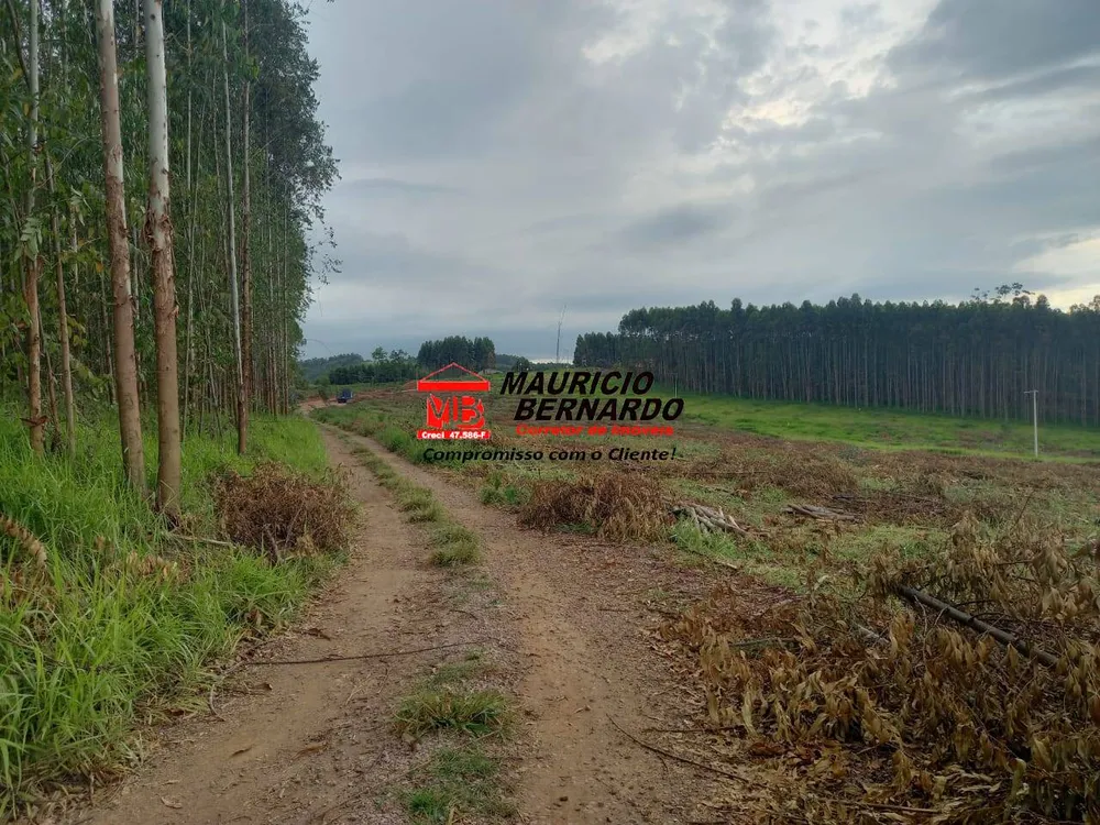 Terreno, 38 hectares - Foto 1
