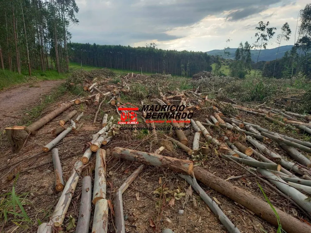 Terreno, 38 hectares - Foto 2