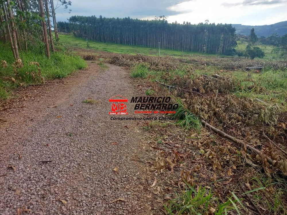 Terreno, 38 hectares - Foto 4