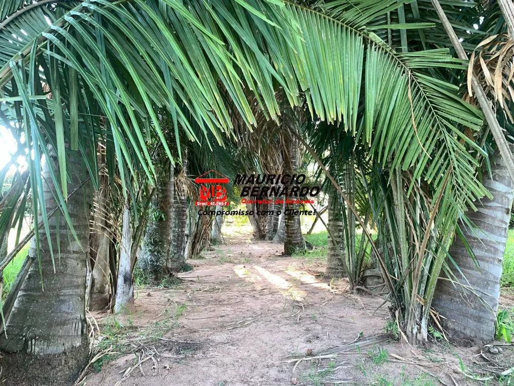 Terreno, 56 m² - Foto 4