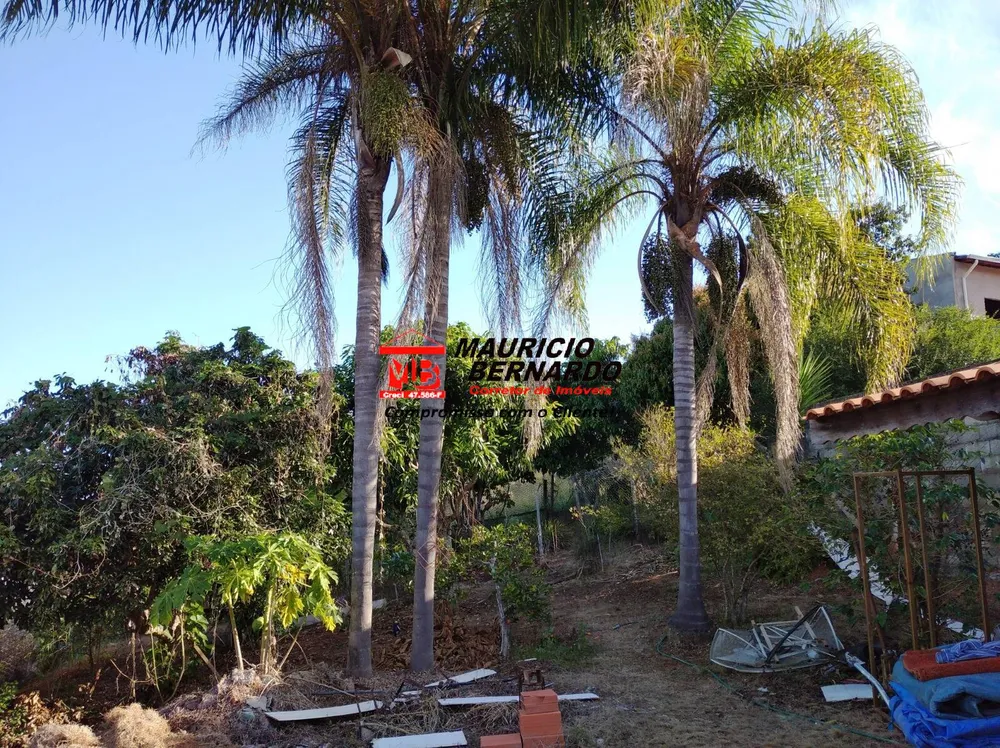 Chácara, 3 quartos, 1000 m² - Foto 4