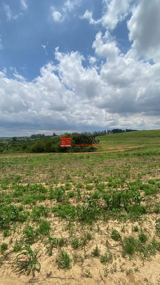 Terreno, 242 m² - Foto 5
