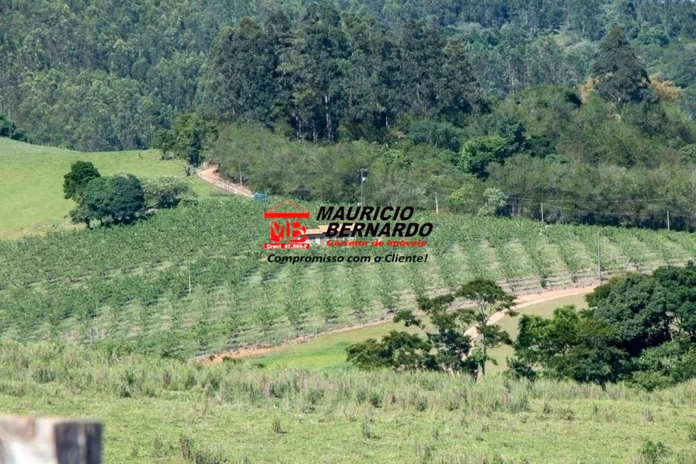 Terreno, 5 hectares - Foto 13