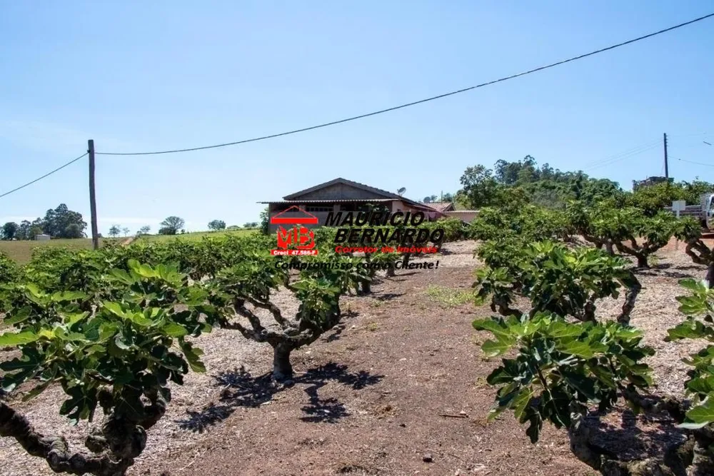 Terreno, 5 hectares - Foto 9