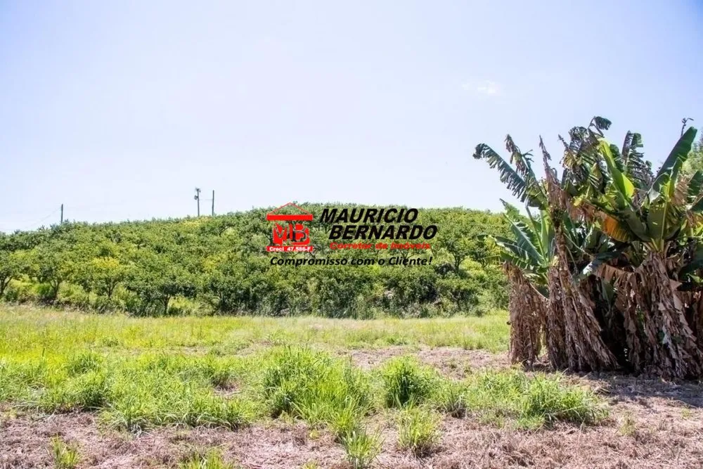 Terreno, 5 hectares - Foto 3