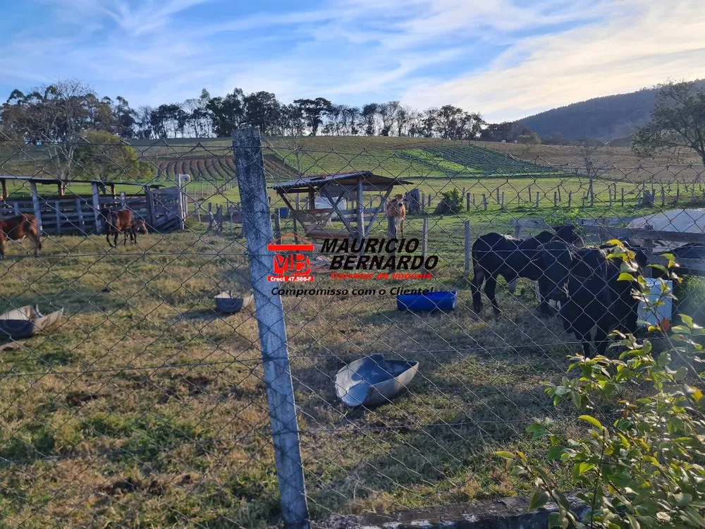 Terreno, 6 m² - Foto 4