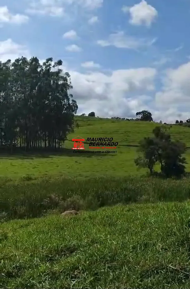 Terreno, 605 m² - Foto 7
