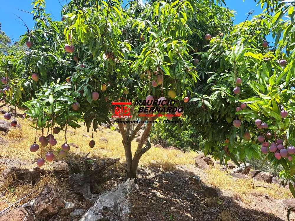 Terreno, 4 m² - Foto 4