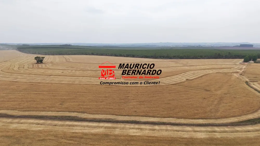 Terreno, 338 m² - Foto 6