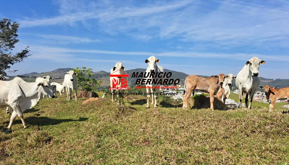 Terreno, 116 m² - Foto 7