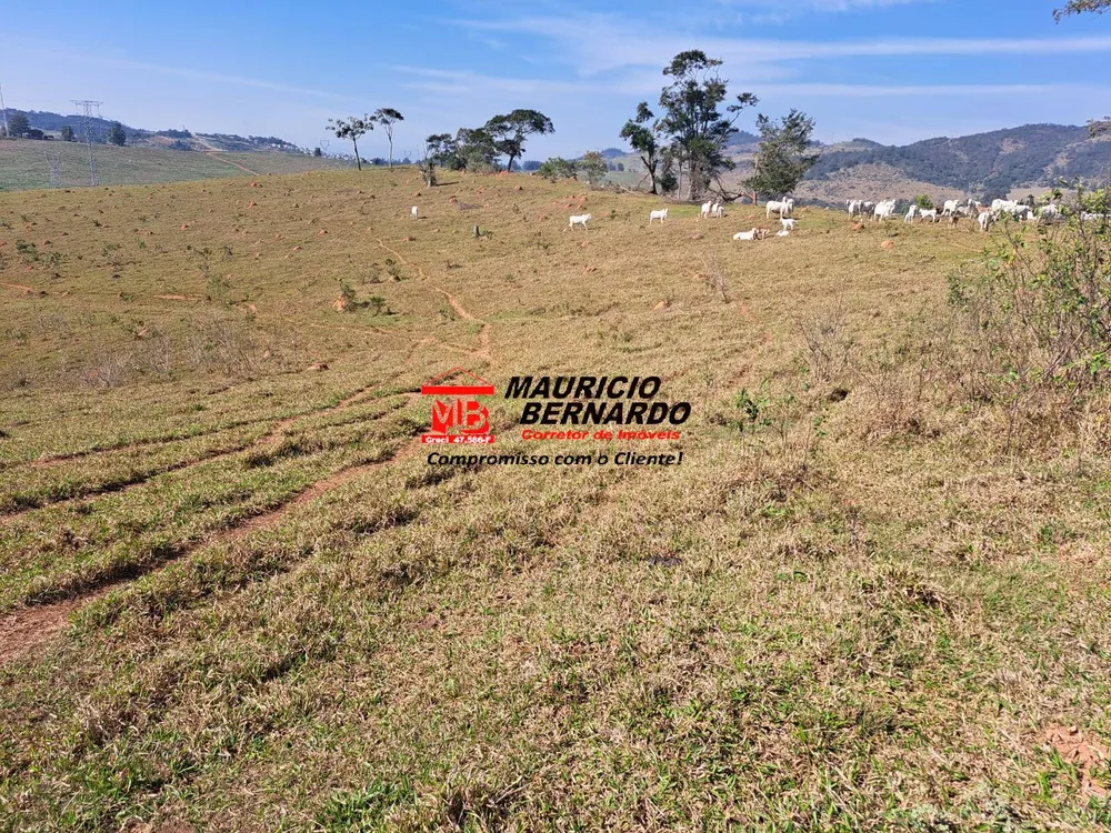 Terreno, 116 m² - Foto 1