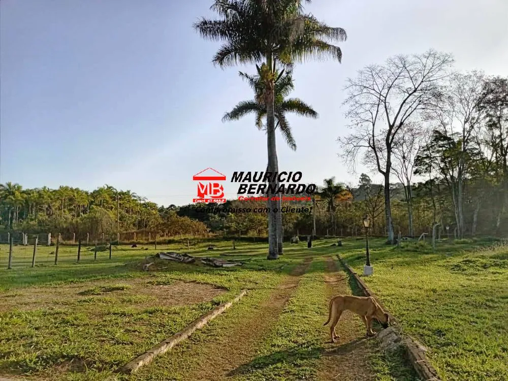 Sítio, 4 quartos, 700 m² - Foto 8