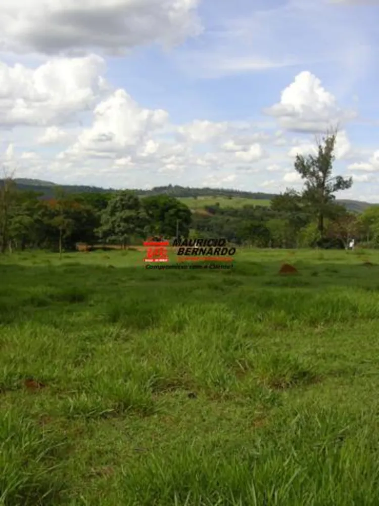 Terreno, 2 hectares - Foto 2