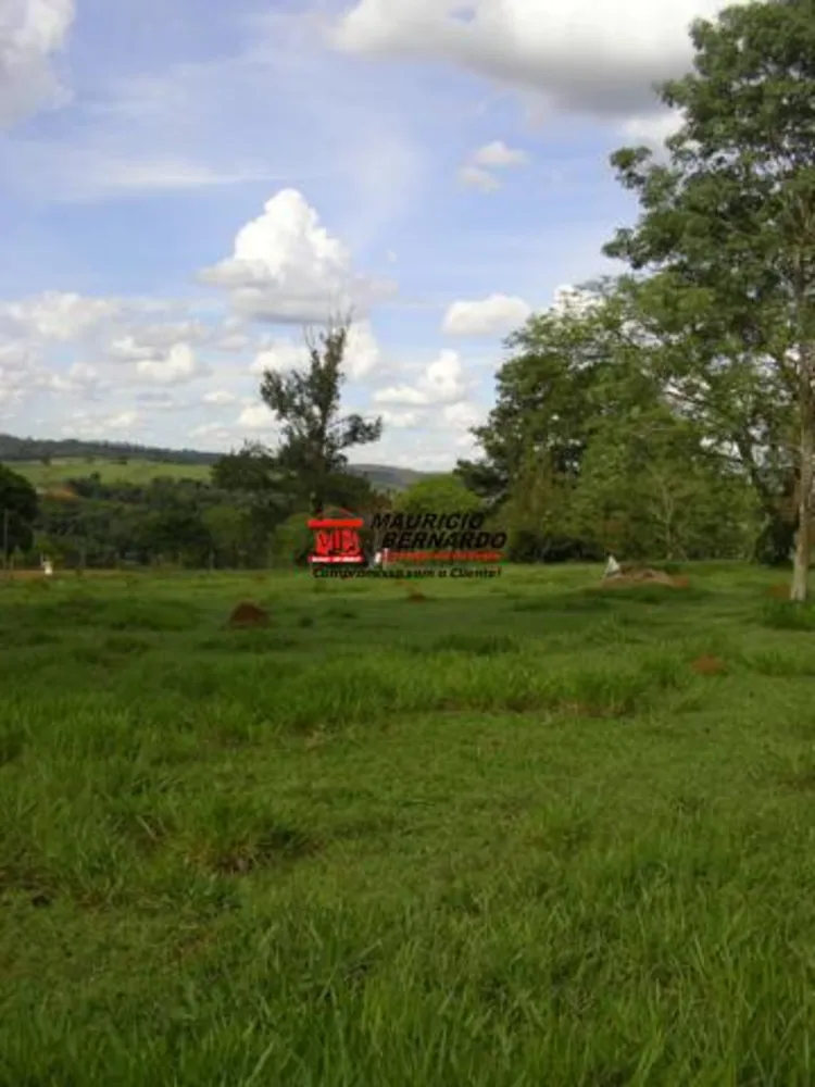 Terreno, 2 hectares - Foto 1