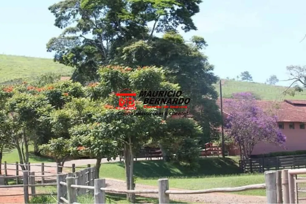 Terreno, 44 m² - Foto 5