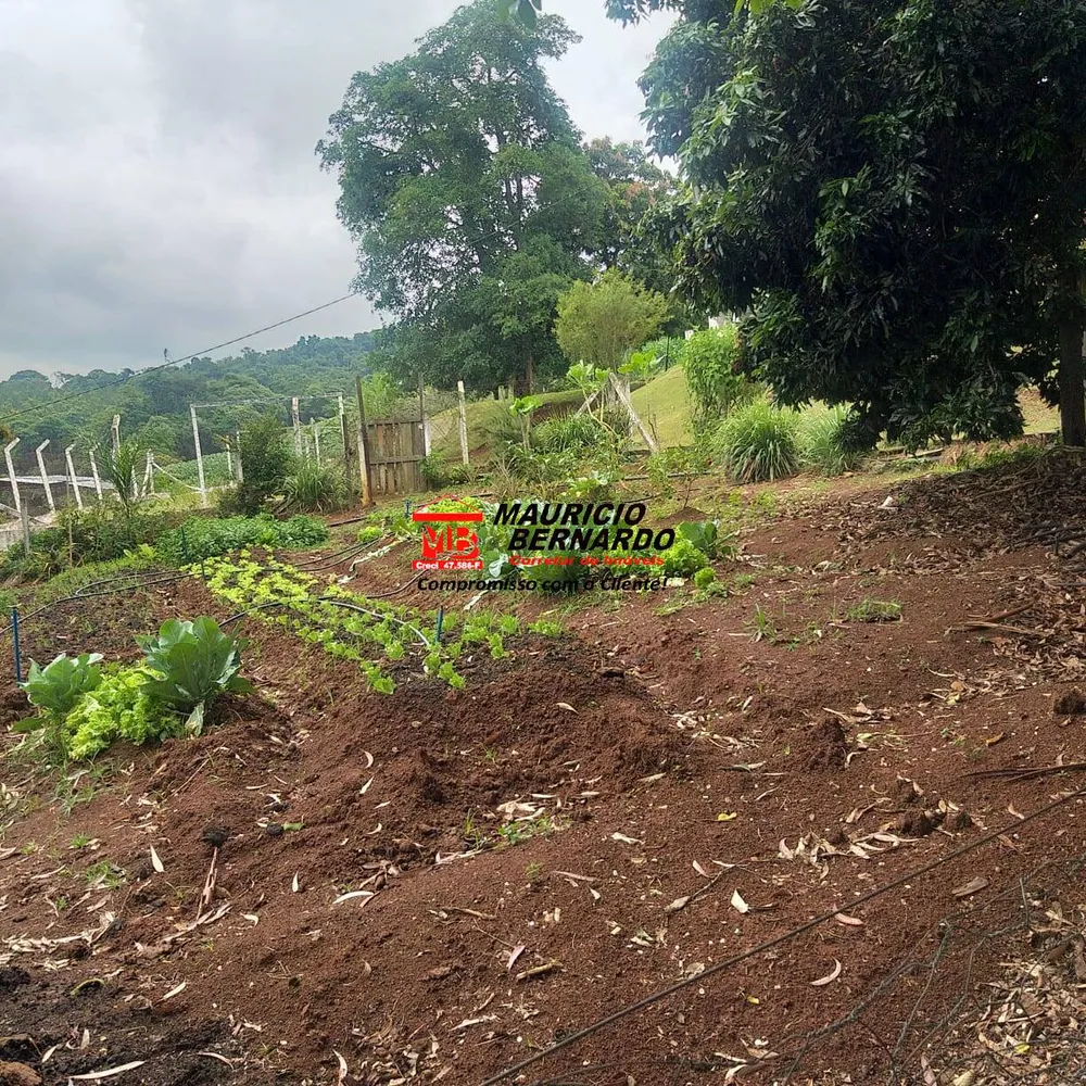 Terreno, 11 m² - Foto 5