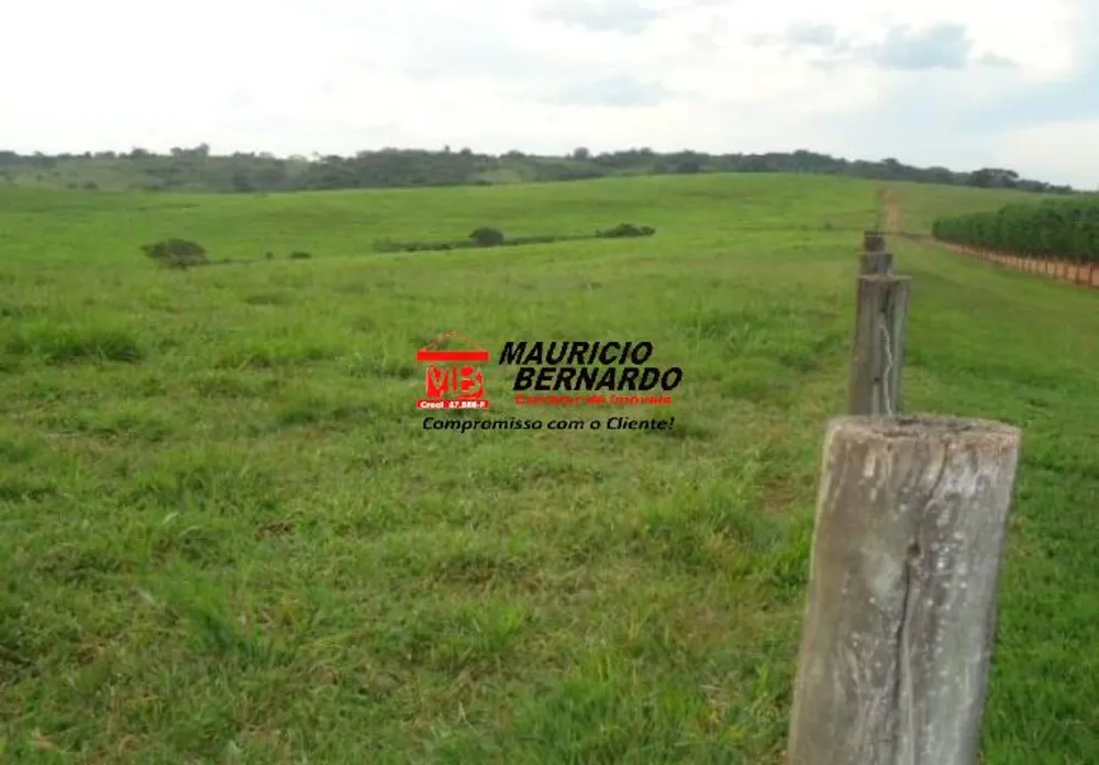 Fazenda, 261 m² - Foto 3