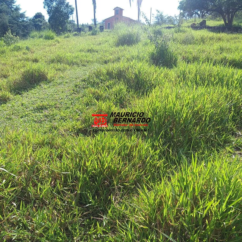 Fazenda, 36 m² - Foto 6