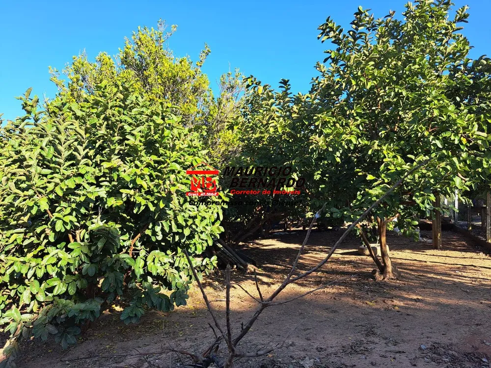 Terreno, 1 m² - Foto 12