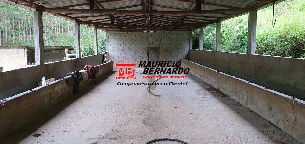 Terreno, 338 m² - Foto 4