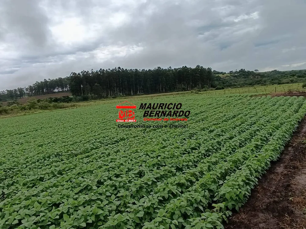 Fazenda, 75 m² - Foto 4