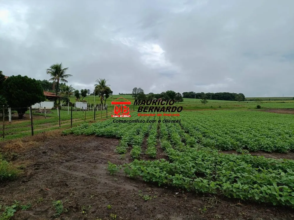 Fazenda, 75 m² - Foto 10