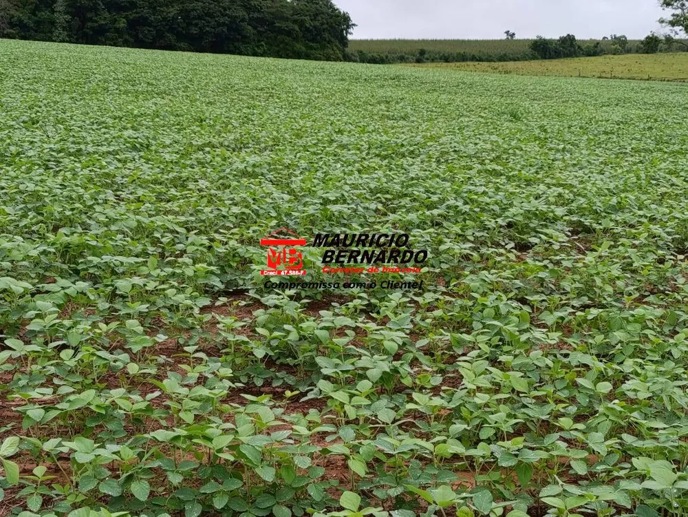 Fazenda, 75 m² - Foto 8