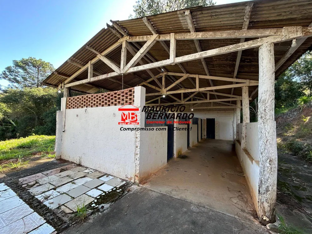 Sítio, 4 quartos, 4 m² - Foto 4