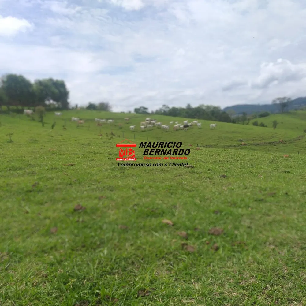 Terreno, 32 m² - Foto 3
