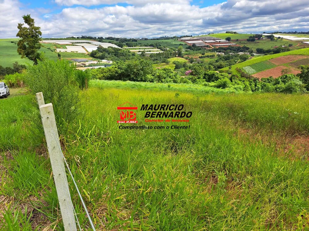 Sítio, 3 quartos, 14 m² - Foto 6