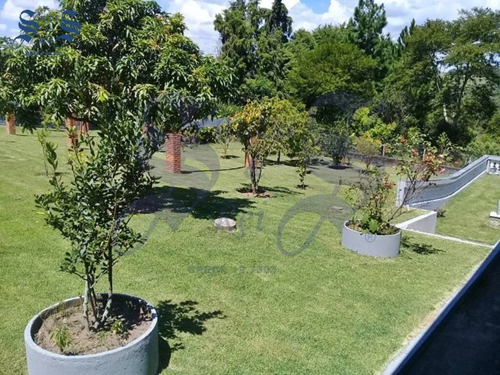 Chácara, 4 quartos, 4200 m² - Foto 3