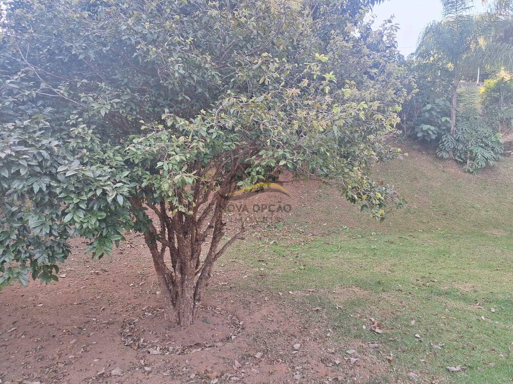 Casa, 3 quartos, 330 m² - Foto 10