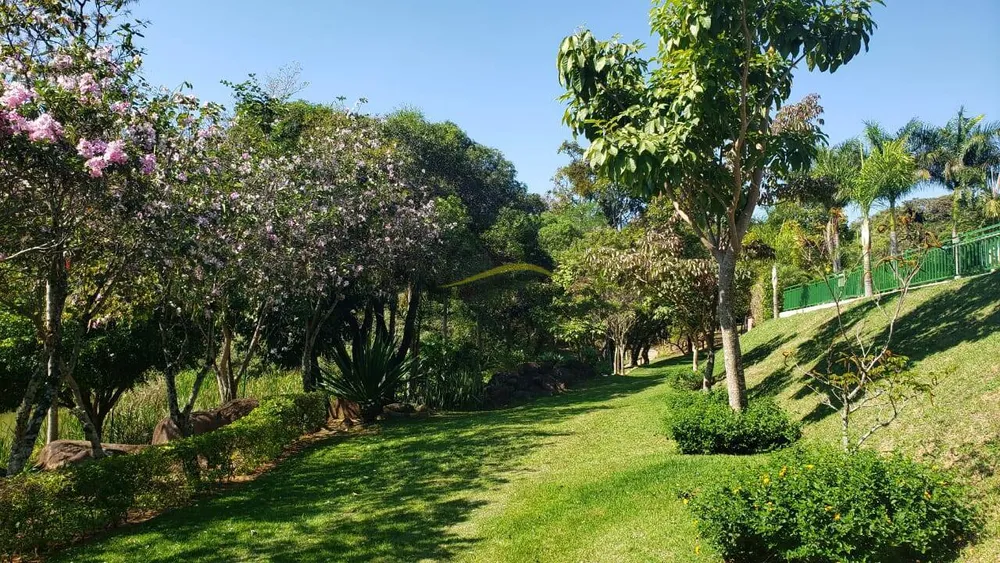 Terreno, 1467 m² - Foto 4