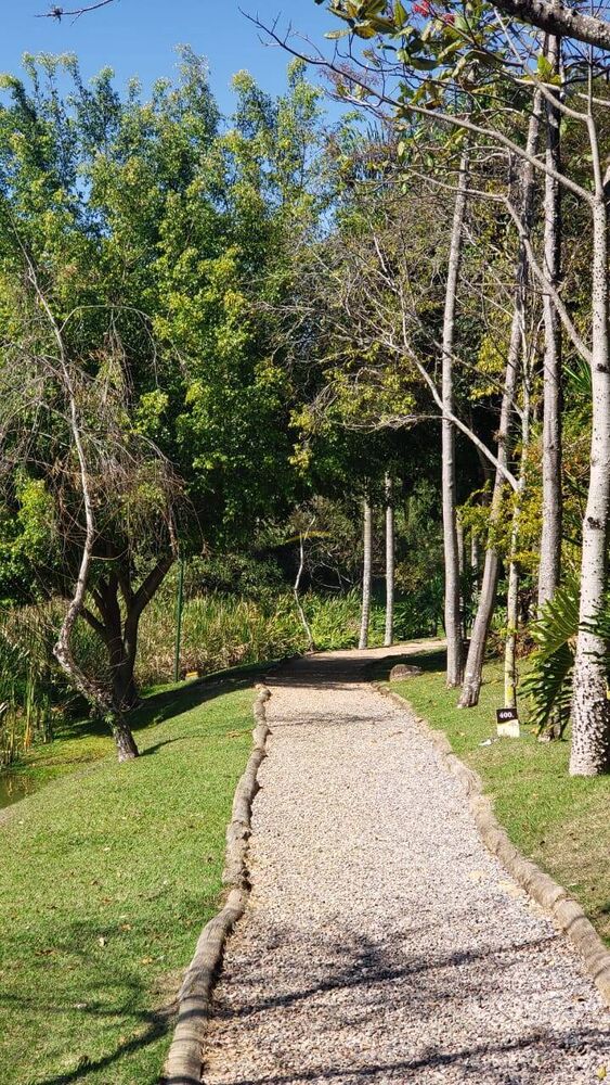 Terreno, 1467 m² - Foto 2