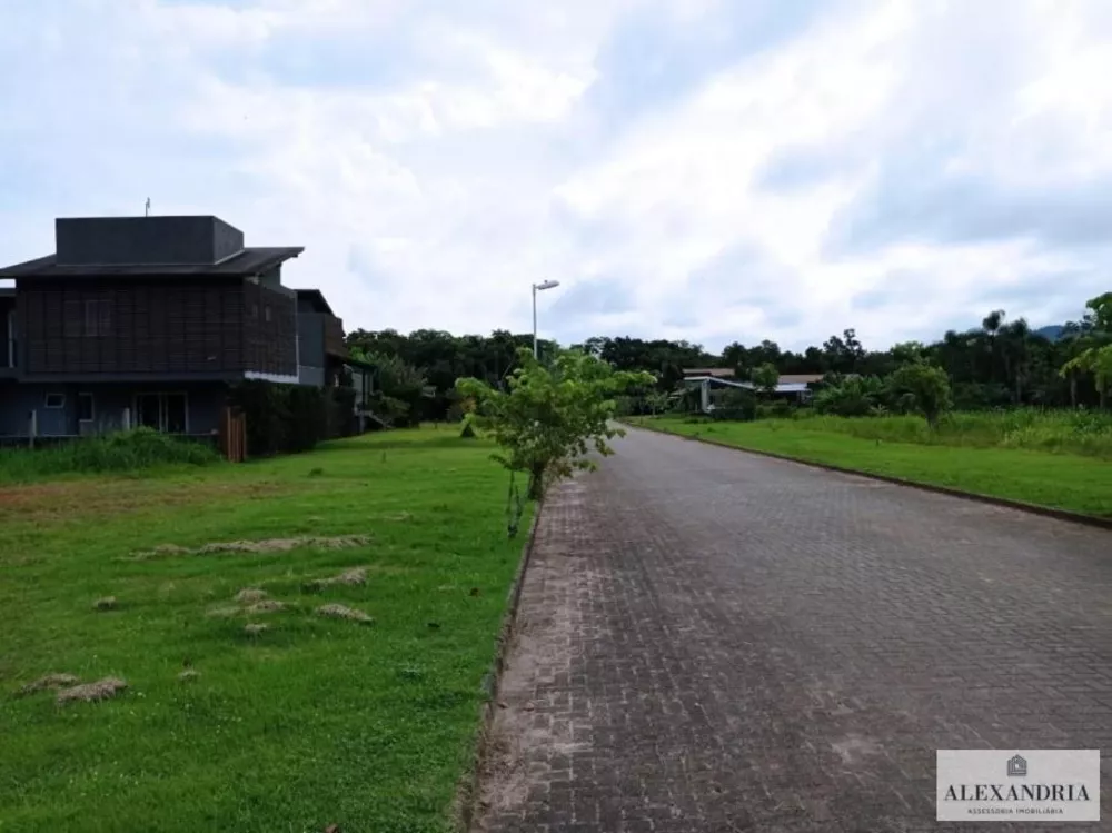 Terreno, 1562 m² - Foto 5