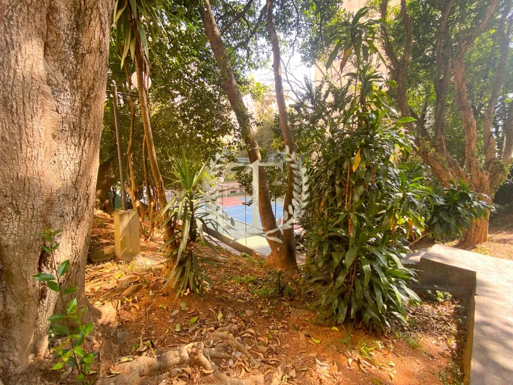 Apartamento, 3 quartos, 62 m² - Foto 11