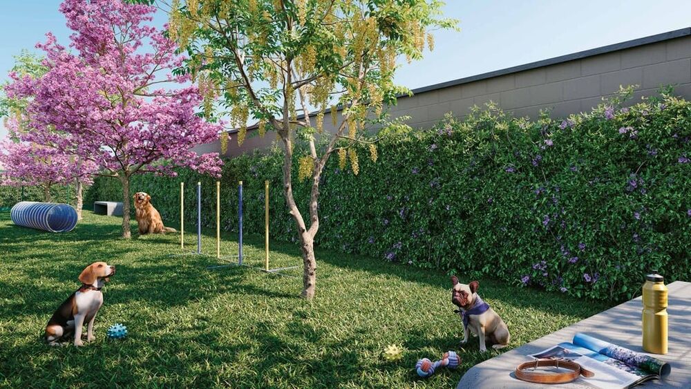 Apartamento, 2 quartos, 33 m² - Foto 4