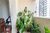 Apartamento, 2 quartos, 63 m² - Foto 6