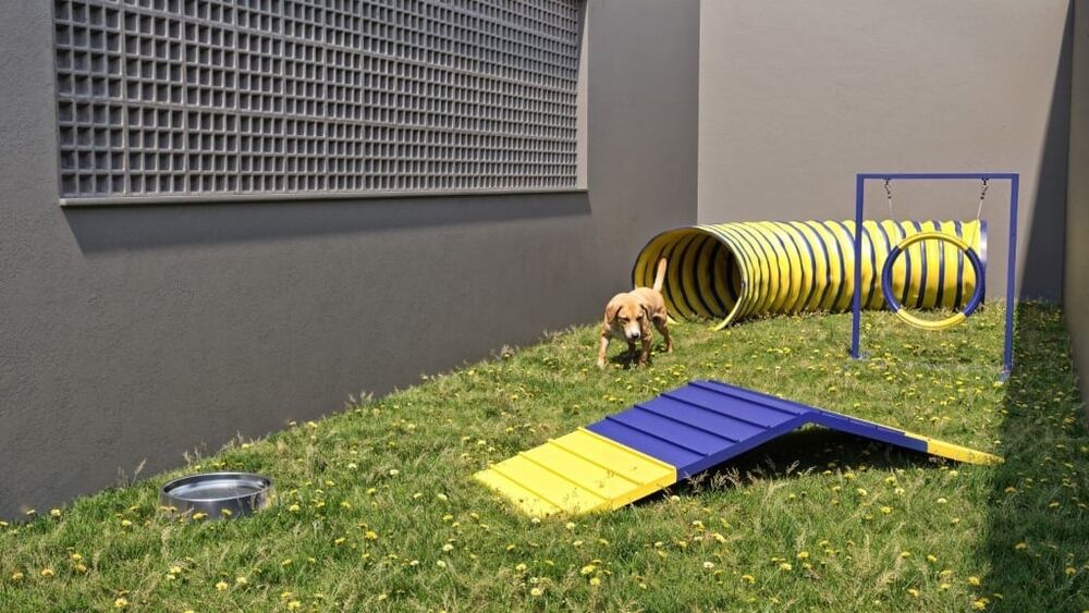 Apartamento, 2 quartos, 46 m² - Foto 14