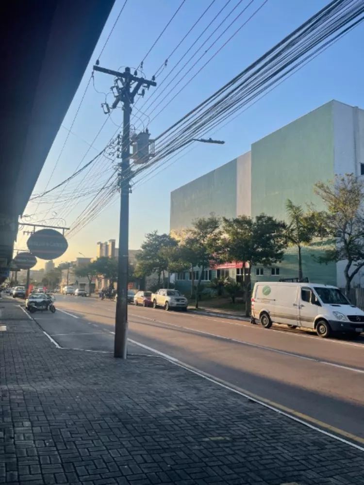 Imóvel Comercial Padrão à venda, 4181m² - Foto 6