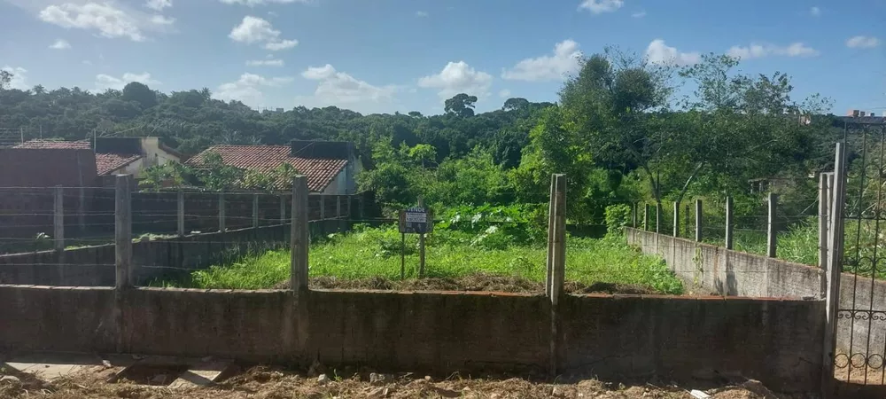 Terreno à venda, 200m² - Foto 3